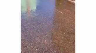 Шутка маленького школьника - смотреть видео (0:12)