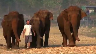 Друзей не забывают - смотреть видео (0:49)