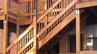 Решил сбить сосульку - смотреть видео (0:21)