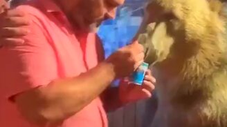 Угостил мишку сгущёнкой - смотреть видео (0:38)