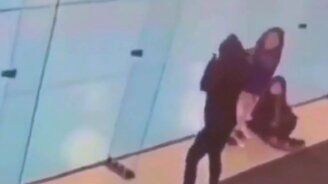 Муха в прошлой жизни - смотреть видео (0:15)