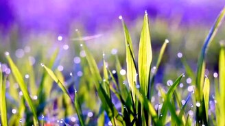 Музыка для души - смотреть видео (5:36)