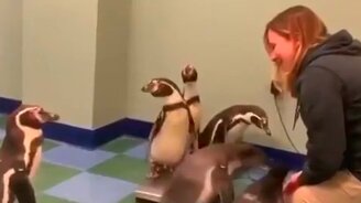 Самая лучшая работа в мире - смотреть видео (0:44)