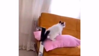 Немножко перепутал - смотреть видео (0:10)