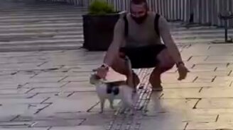 Я вся такая внезапная - смотреть видео (0:10)