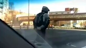 Нестандартный участник дорожного движения - смотреть видео (0:09)