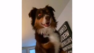 Давай вставай - смотреть видео (0:17)