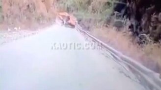 Внезапность на горной дороге - смотреть видео (0:21)