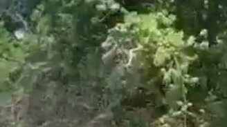 Разбудил лихо - смотреть видео (0:10)