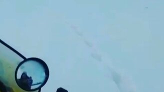 Не поймал зайца - смотреть видео (0:30)