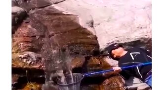 Как ленивый рыбак ловит рыбу - смотреть видео (0:11)