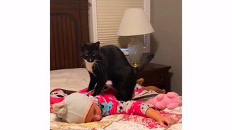 Кошачий массаж для ребенка - смотреть видео (0:45)