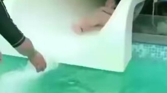 Идеально трудоустроился - смотреть видео (0:31)