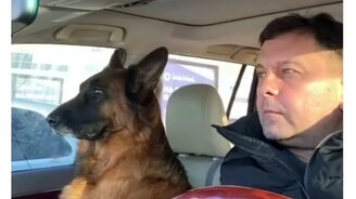 Напарник таксиста - смотреть видео (0:35)