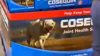 Как рассмешить посетителей супермаркетов - смотреть видео (0:26)