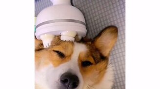 Райское наслаждение - смотреть видео (0:12)