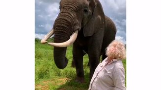 Шляпа оказалась невкусной - смотреть видео (0:26)