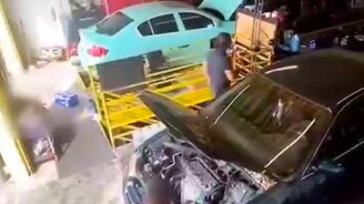 Нагадил и не сказал - смотреть видео (0:15)