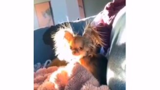 Когда помыла голову перед сном - смотреть видео (0:09)