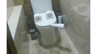 Шутка в туалетной комнате - смотреть видео (0:12)