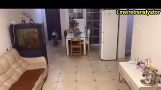 Овчарка встретила курьера - смотреть видео (0:34)