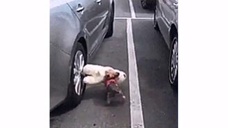 Мой долгожданный подарок - смотреть видео (0:28)