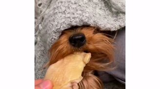 Отдай обратно мясо - смотреть видео (0:10)