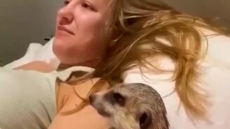 Ты фильм-то смотри - смотреть видео (0:30)