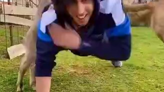 Козлы мешают тренироваться - смотреть видео (0:13)