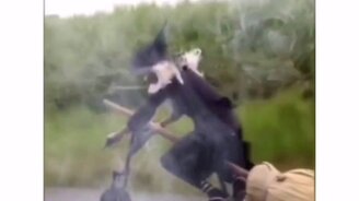 Колдунья на дороге - смотреть видео (0:09)