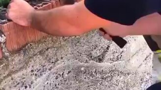 Спасение трёхцветной кошки - смотреть видео (0:49)