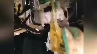 Мышка устроила домик за панелью авто - смотреть видео (0:32)