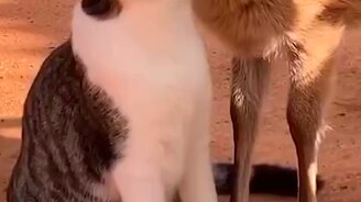 Теперь ты будешь чистым - смотреть видео (0:20)