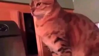 Удар исподтишка - смотреть видео (0:10)