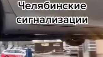 Забавная сигнализация - смотреть видео (0:22)