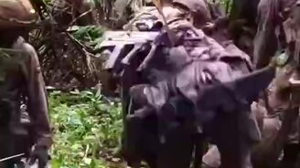 Критический урон - смотреть видео (0:14)