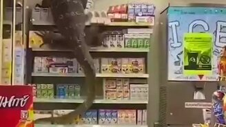 Варан в супермаркете - смотреть видео (0:45)