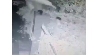 Когда с другом пошли на дело - смотреть видео (0:11)