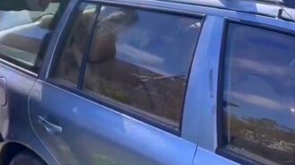 Я открою, только не бей - смотреть видео (0:11)