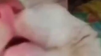 Кот вернулся с ночной смены - смотреть видео (0:21)