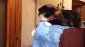 При входе в магазин - смотреть видео (0:03)