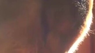 А давай заведём собаку - смотреть видео (0:11)