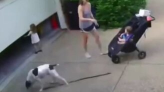 Когда двое и больше детей - смотреть видео (0:16)