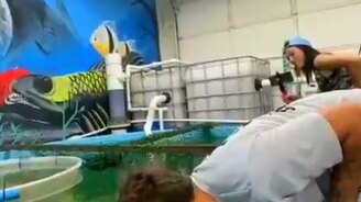 Шутник и хищные рыбы - смотреть видео (0:20)