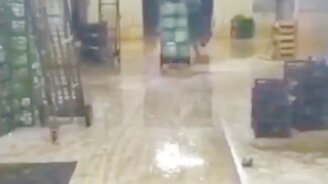 Жёсткий занос - смотреть видео (0:11)