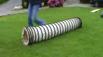 Поросёнок вместо собаки - смотреть видео (1:47)