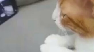 Движения в такт - смотреть видео (0:13)