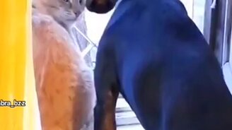 Что уж, в окно нельзя посмотреть? - смотреть видео (0:19)