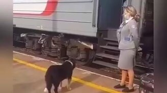 Удмуртский Хатико - смотреть видео (0:47)