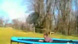 Стремянка не выдержала - смотреть видео (0:25)